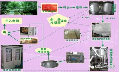 竹韵桃江，绿动未来——22家企业高调亮相竹文化节，引领资源再生利用技术研发新浪潮